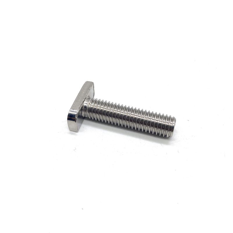 Bolts And Fasteners Stainless Steel T Head Bolt with Nut